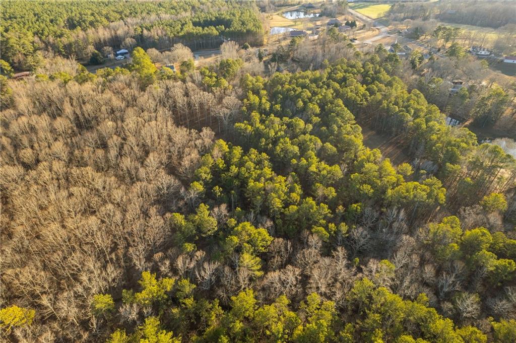 Maple Springs Road, Rockmart, Georgia image 20