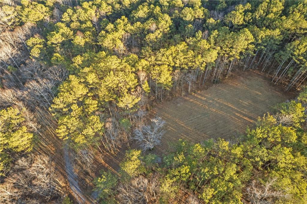 Maple Springs Road, Rockmart, Georgia image 23