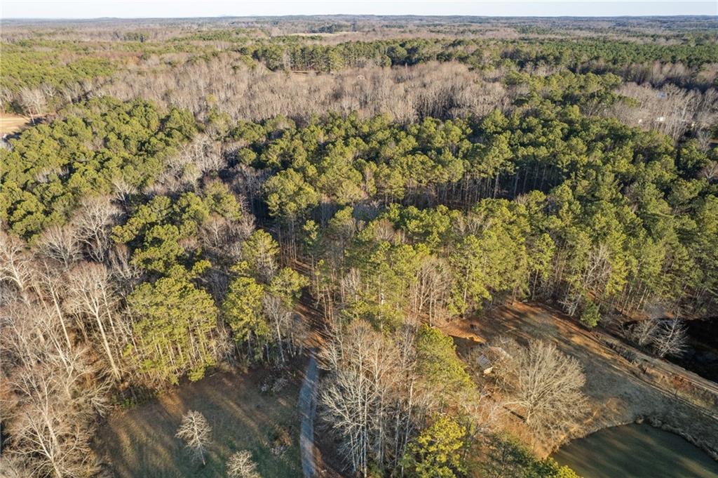 Maple Springs Road, Rockmart, Georgia image 18