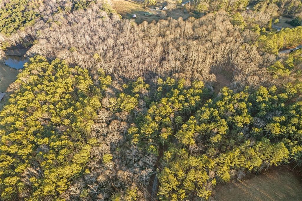 Maple Springs Road, Rockmart, Georgia image 26