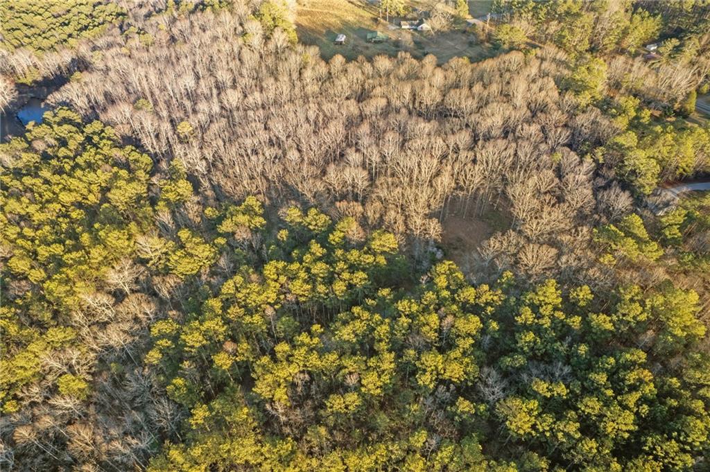 Maple Springs Road, Rockmart, Georgia image 25