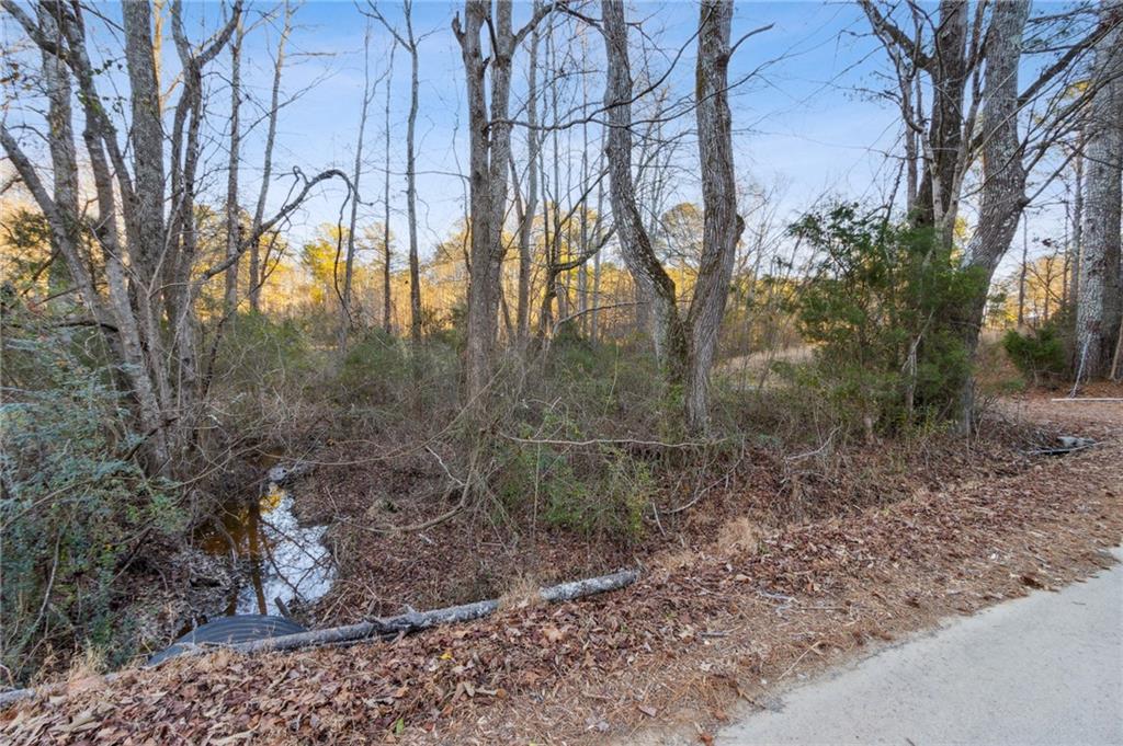 Maple Springs Road, Rockmart, Georgia image 4