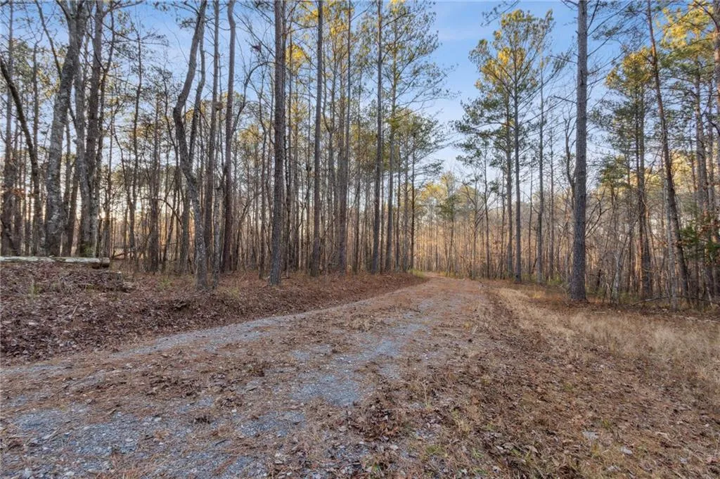 Rockmart, Georgia 30153, United States, ,Land,Active,22915