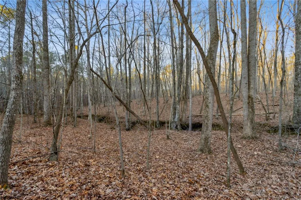 Rockmart, Georgia 30153, United States, ,Land,Active,22915