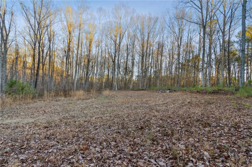 Rockmart, Georgia 30153, United States, ,Land,Active,22915