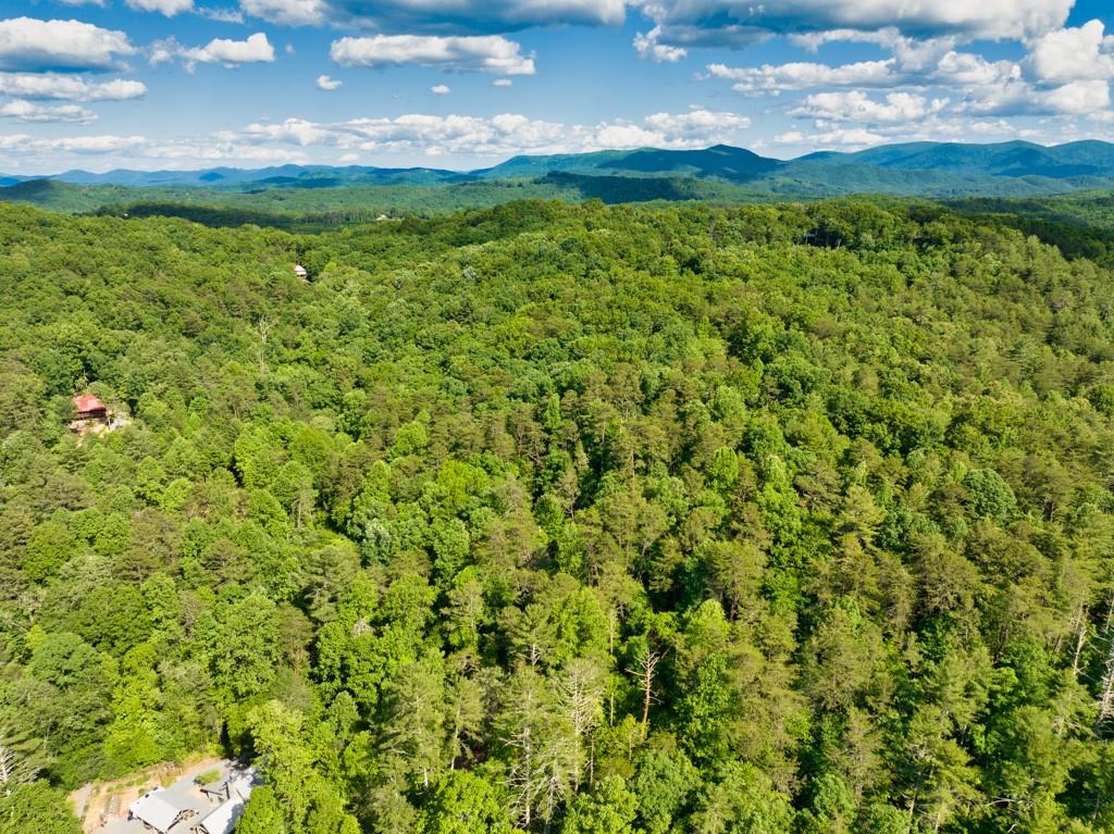 1 Cadmans Hammock, Blue Ridge, Georgia image 42