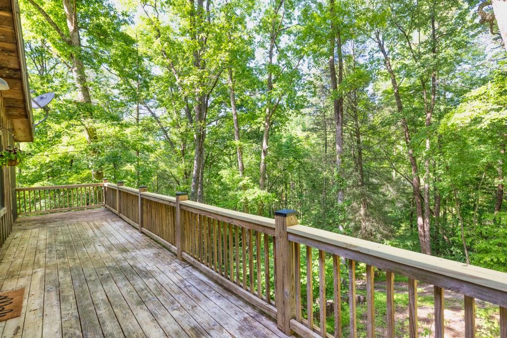 1 Cadmans Hammock, Blue Ridge, Georgia image 32