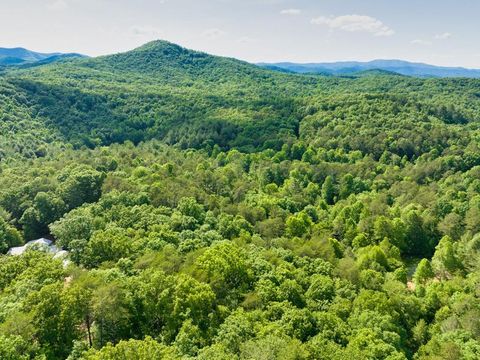 A home in Blue Ridge