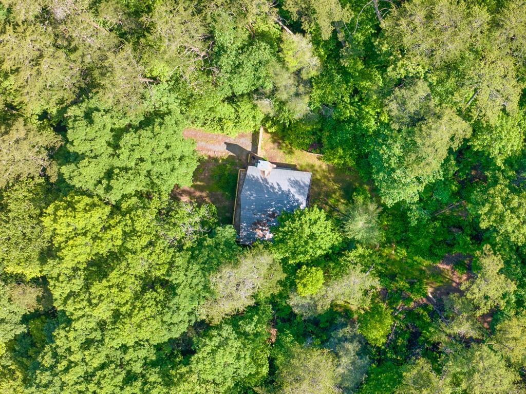 1 Cadmans Hammock, Blue Ridge, Georgia image 6