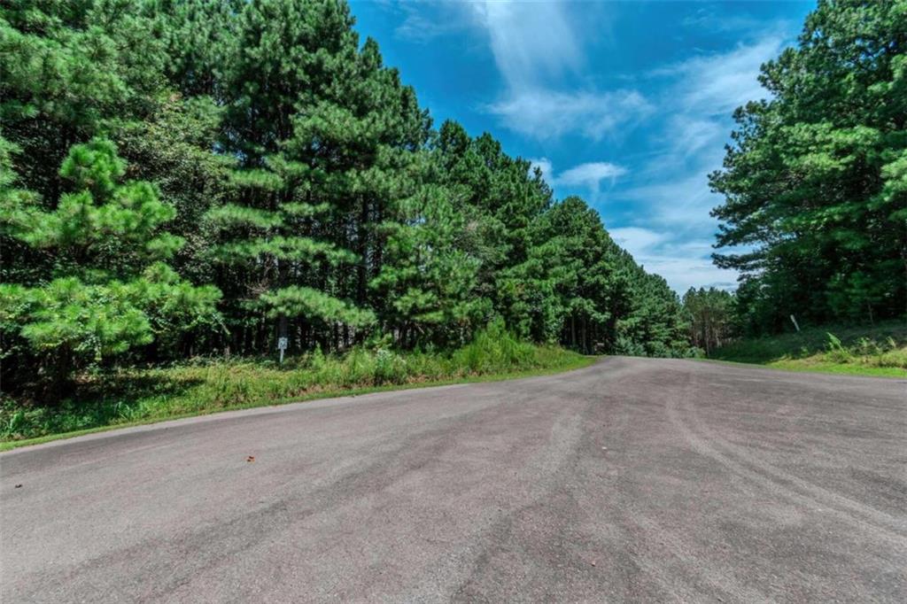 LOT 26 Foxpaw Leaf Lane, Ellijay, Georgia image 29