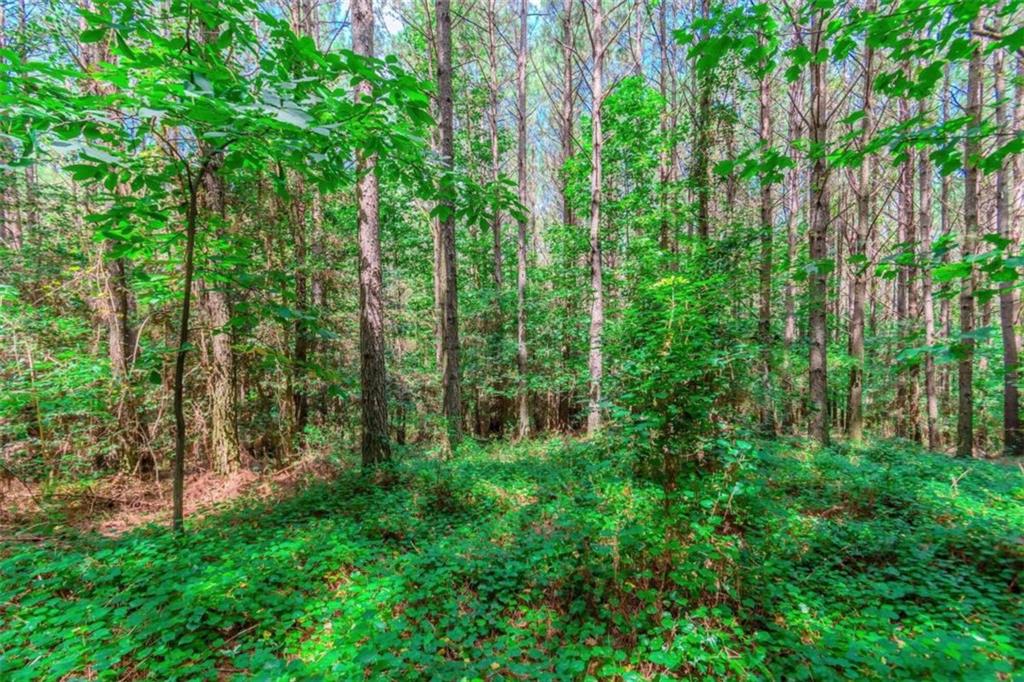 LOT 26 Foxpaw Leaf Lane, Ellijay, Georgia image 14