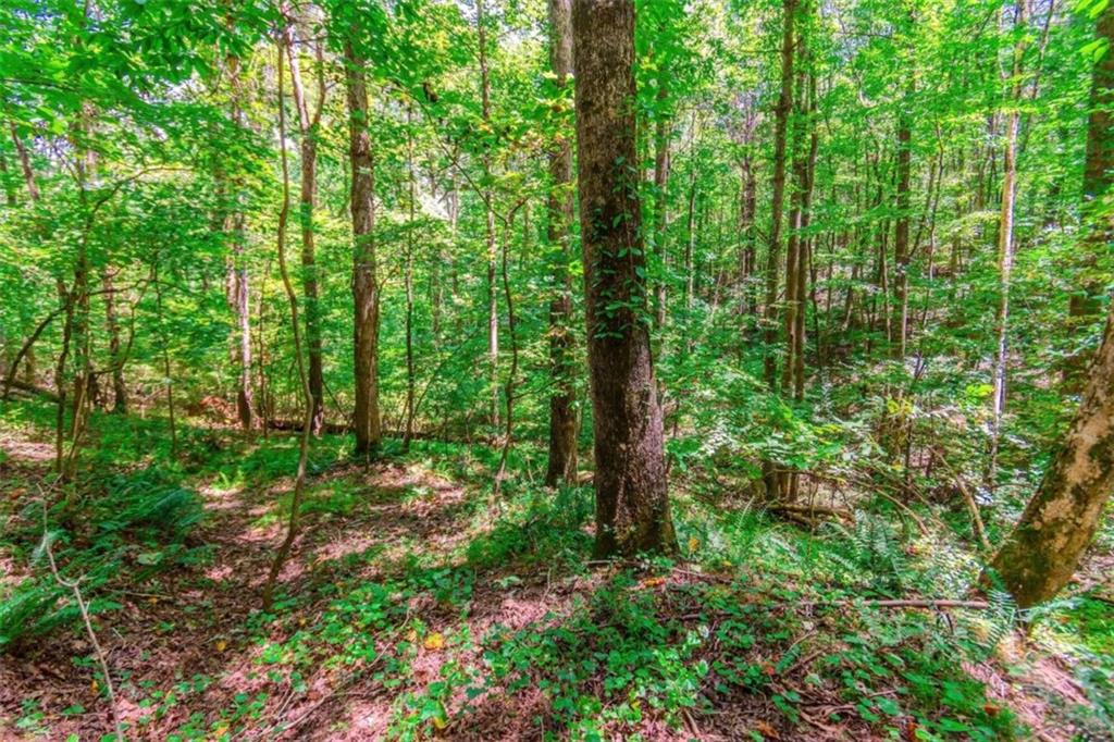 LOT 26 Foxpaw Leaf Lane, Ellijay, Georgia image 22