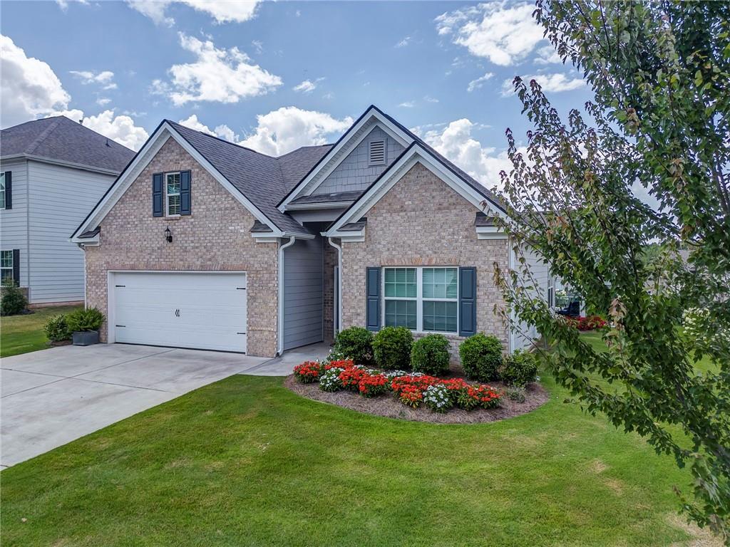 43 Shamrock Chase