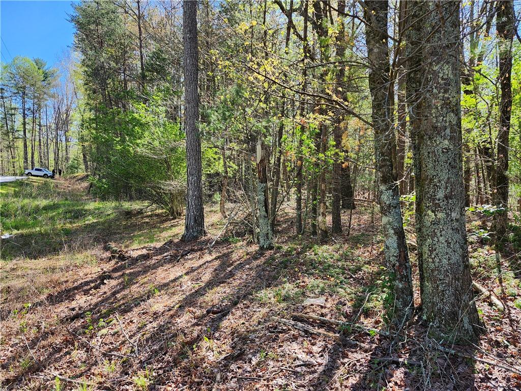 00 Afton Road, Marble Hill, Georgia image 11
