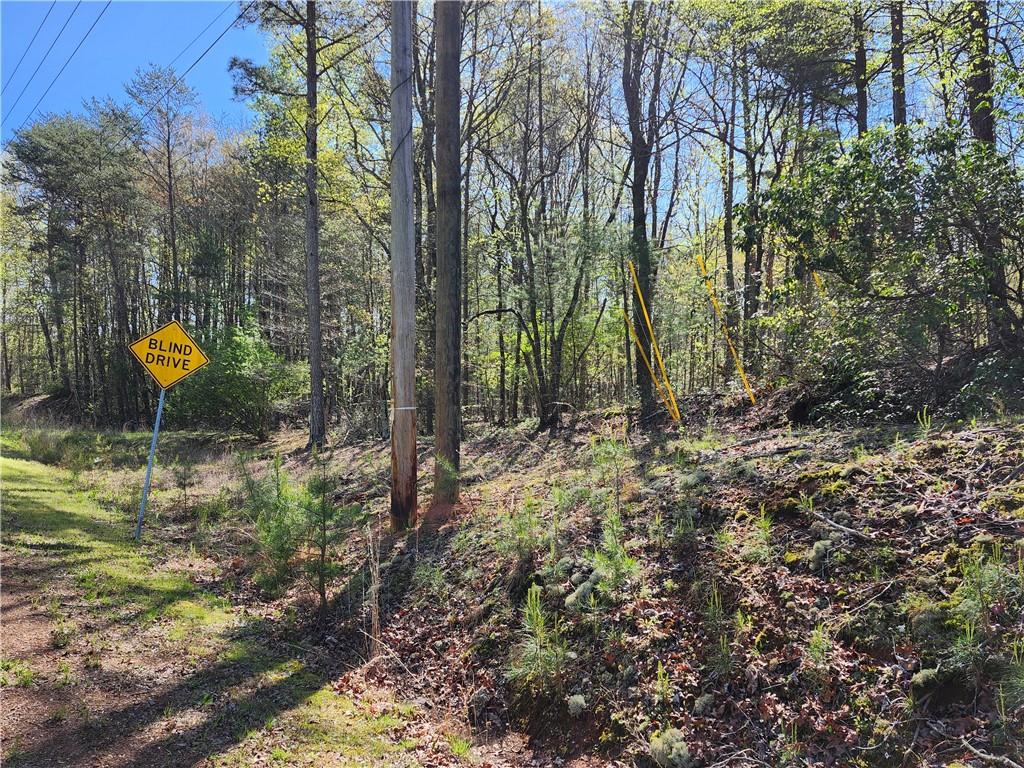 00 Afton Road, Marble Hill, Georgia image 5