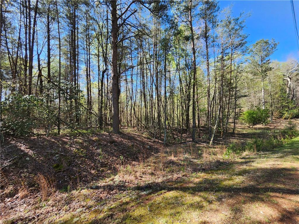 00 Afton Road, Marble Hill, Georgia image 2