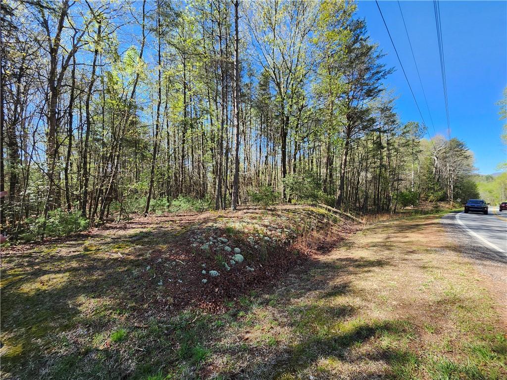 00 Afton Road, Marble Hill, Georgia image 1