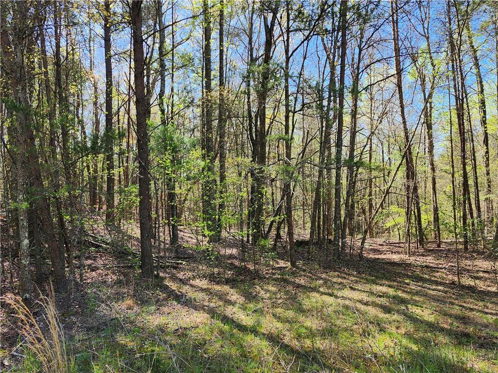 00 Afton Road, Marble Hill, Georgia image 3