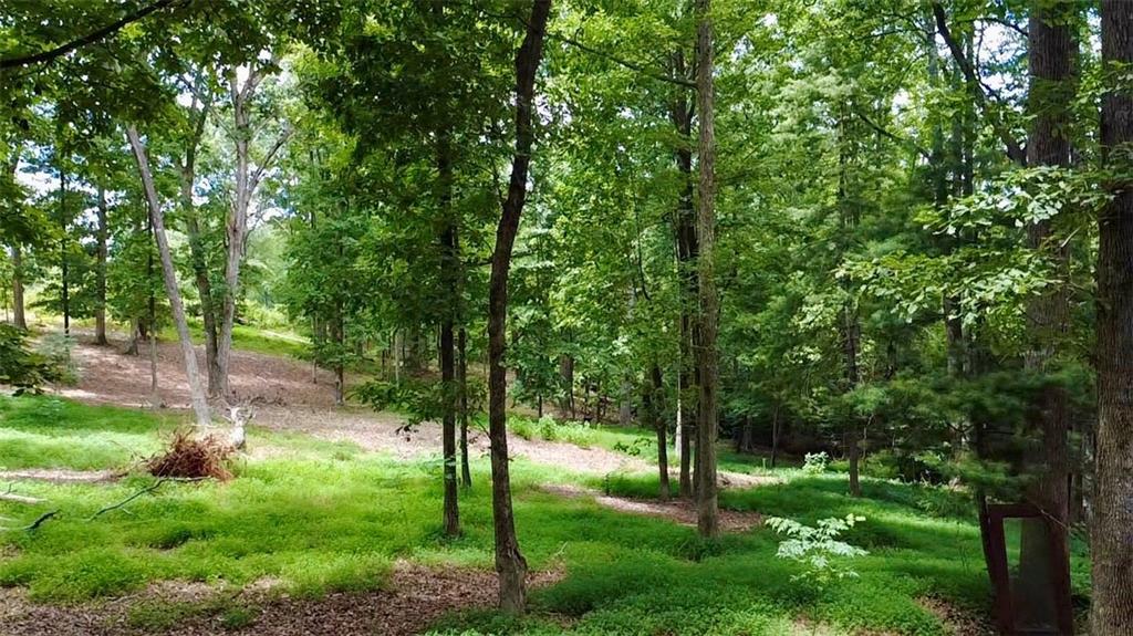 8671 Pea Ridge Rd