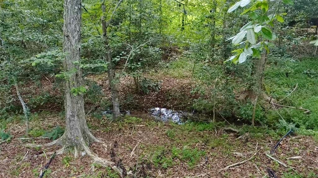 8671 Pea Ridge Rd