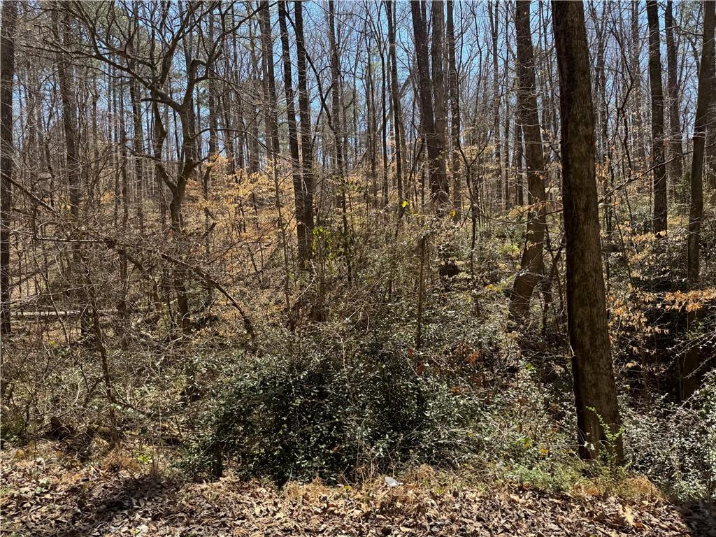 Koweta Road, Atlanta, Georgia image 5
