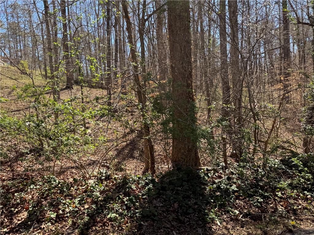 Koweta Road, Atlanta, Georgia image 7