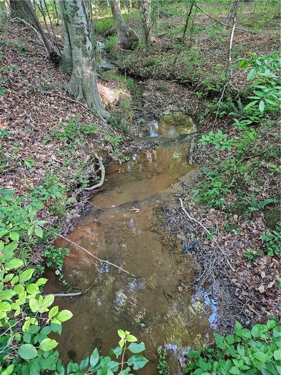 0 Ponderosa Trail