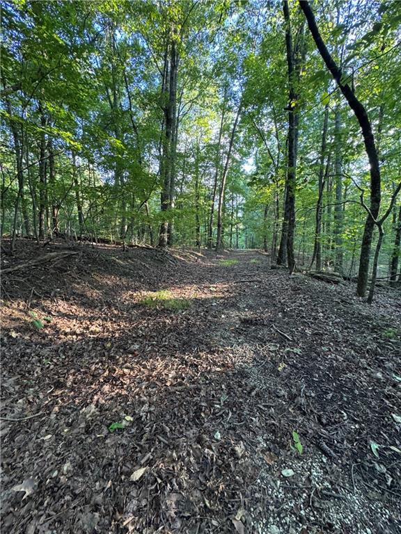 Discover the possibilities with this 6.86-acre mountain property surrounded by mature hardwoods and natural beauty. Once on the there is a private driveway already in place, winding into the property and opening to multiple ideal building sites where you can create your dream home, weekend cabin, or family retreat. With no restrictions, the options are endless—bring your RV, build a barn, or simply enjoy it as your own private escape. The land offers excellent road frontage for easy access, while the gentle slope toward the back provides the opportunity for seasonal mountain views and breath taking sunsets. Peaceful and quiet, this property is home to abundant wildlife, making it the perfect spot for nature lovers, outdoor adventurers, or anyone craving privacy in the North Georgia mountains. A BIG bonus is it is less than 10 minutes to downtown Jasper.