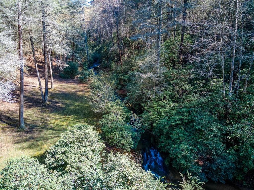 139 Wall Street, Ellijay, Georgia image 45