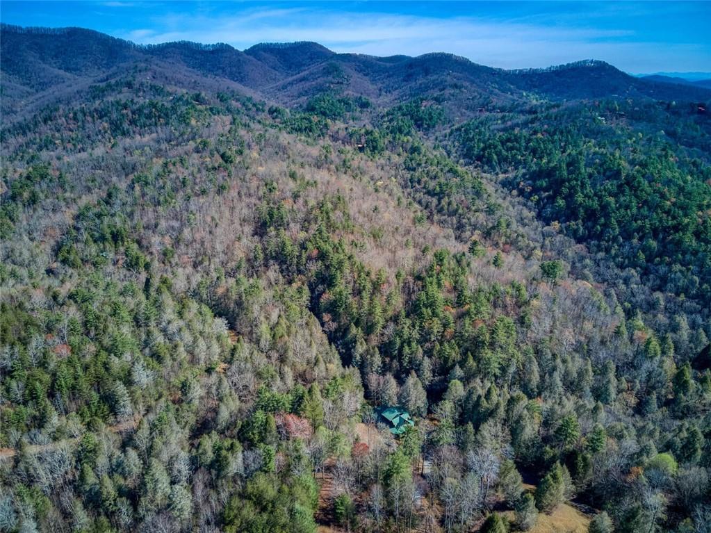 139 Wall Street, Ellijay, Georgia image 43