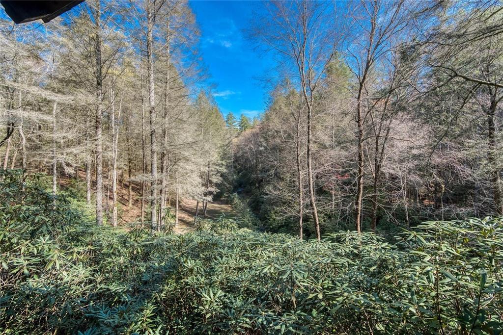 139 Wall Street, Ellijay, Georgia image 44