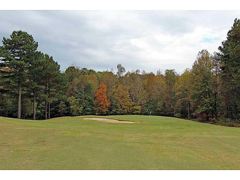 278 Vine Creek Drive, Acworth, Georgia image 3