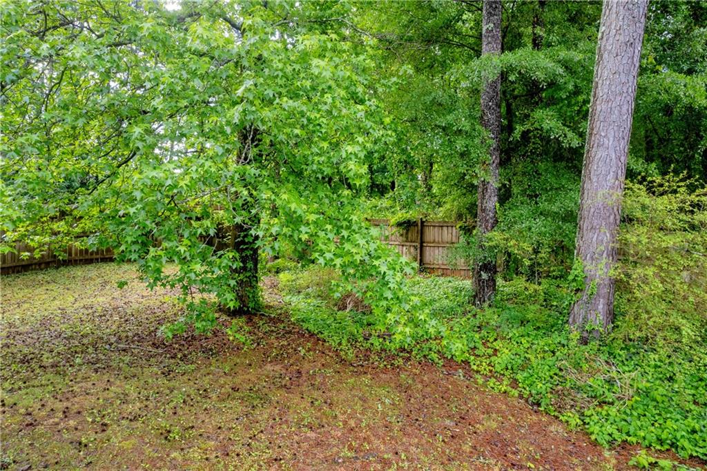 1645 Cobbs Creek Lane, Decatur, Georgia image 36