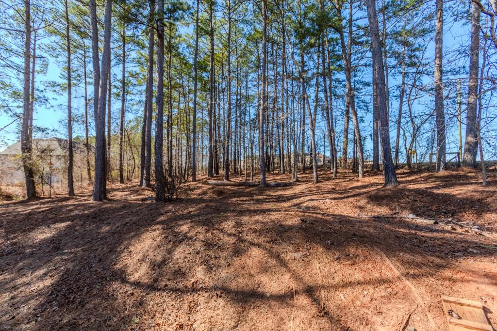 340 Braselton Farms Trail, Hoschton, Georgia image 33