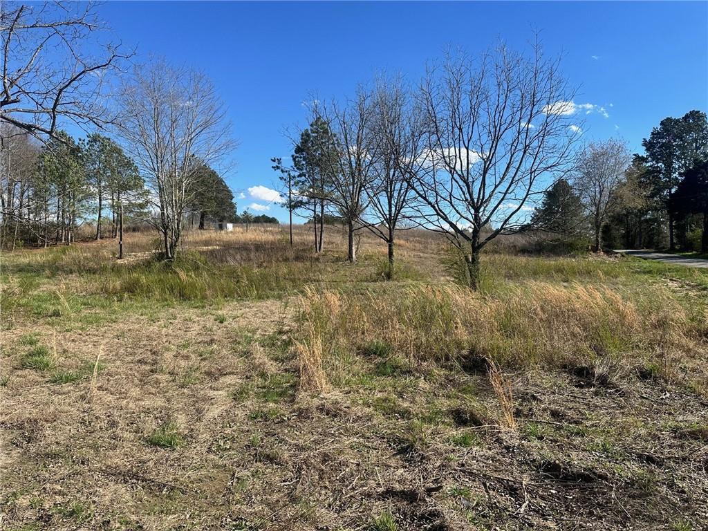 132 Hardin Road, Adairsville, Georgia image 2