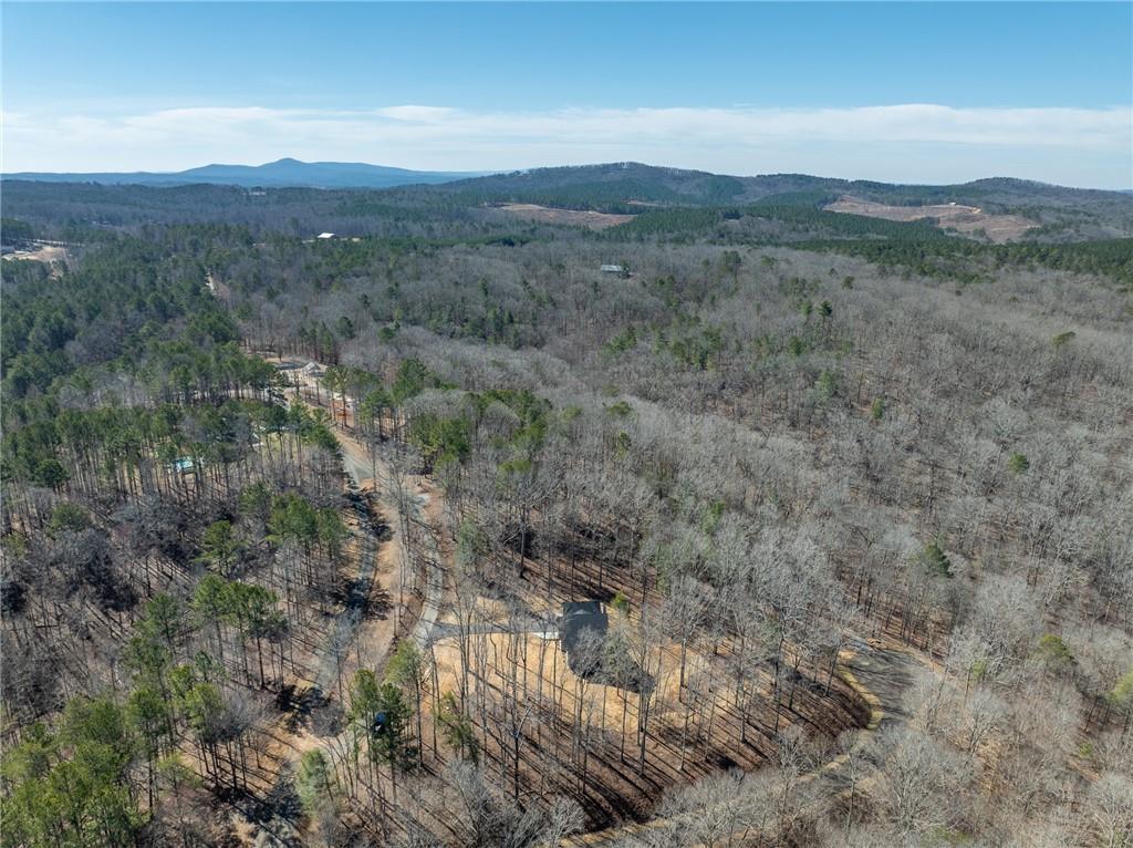 185 Country Road, Talking Rock, Georgia image 45