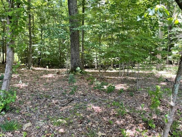 283 Coosa Way