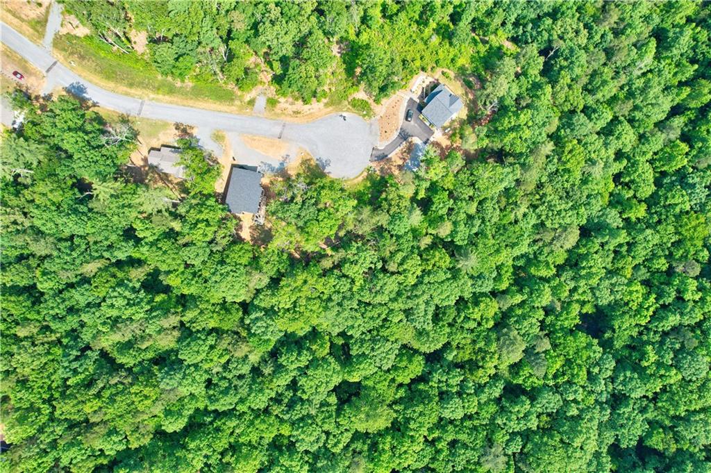 LOT 16 Lake Top Lane, Ellijay, Georgia image 12