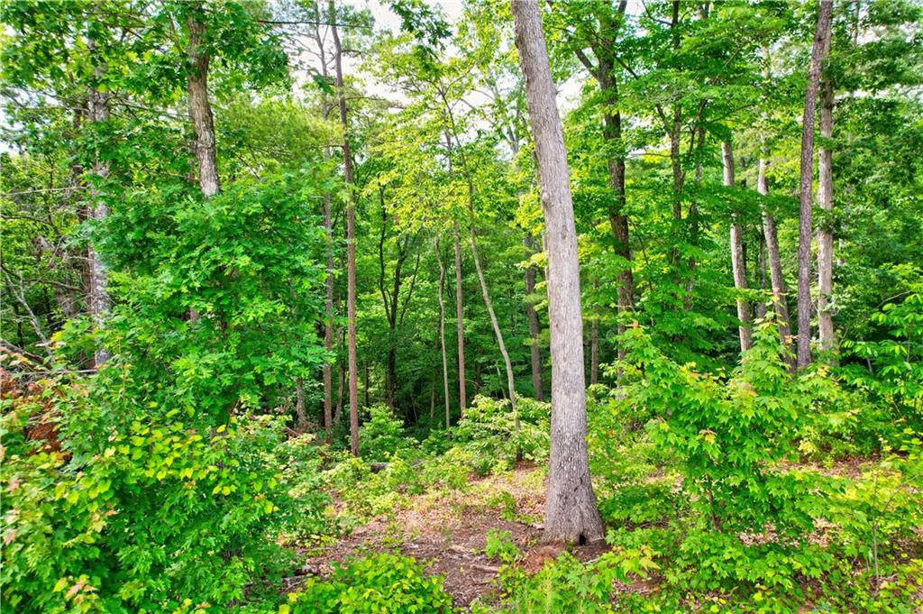 LOT 16 Lake Top Lane, Ellijay, Georgia image 5