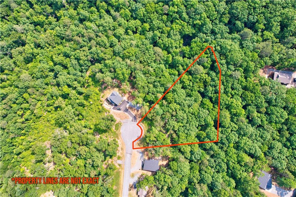 LOT 16 Lake Top Lane, Ellijay, Georgia image 15