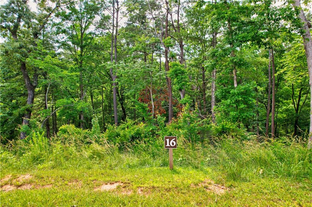 LOT 16 Lake Top Lane, Ellijay, Georgia image 4