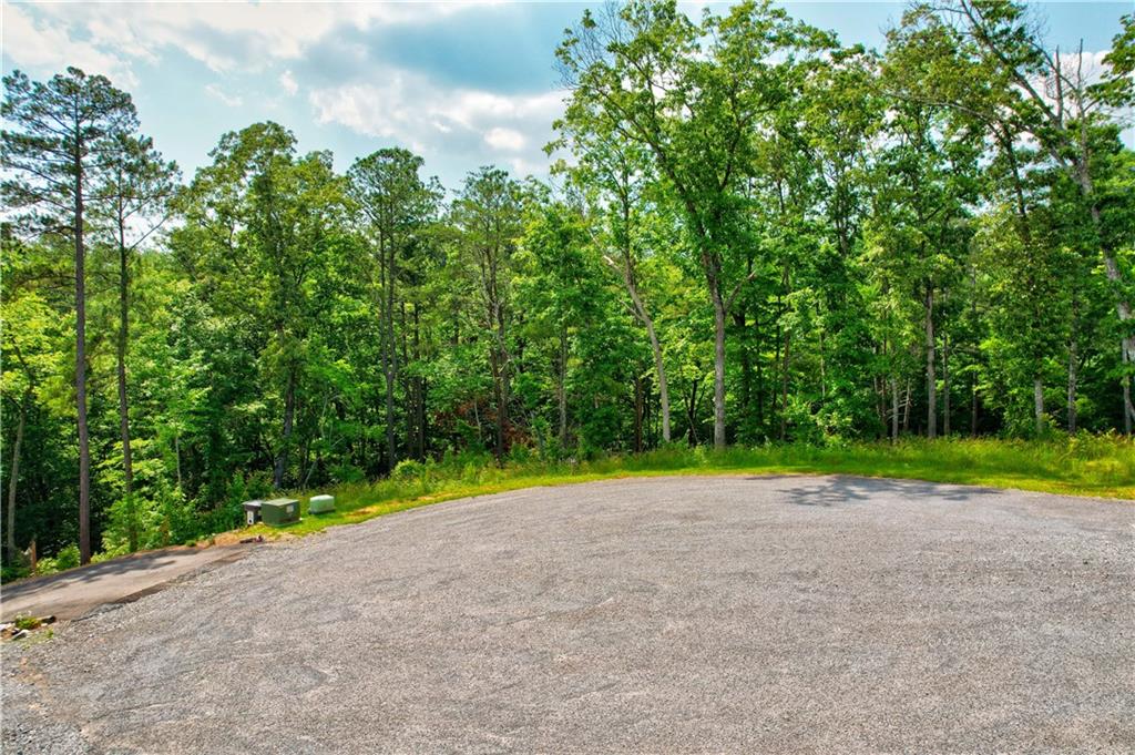 LOT 16 Lake Top Lane, Ellijay, Georgia image 2