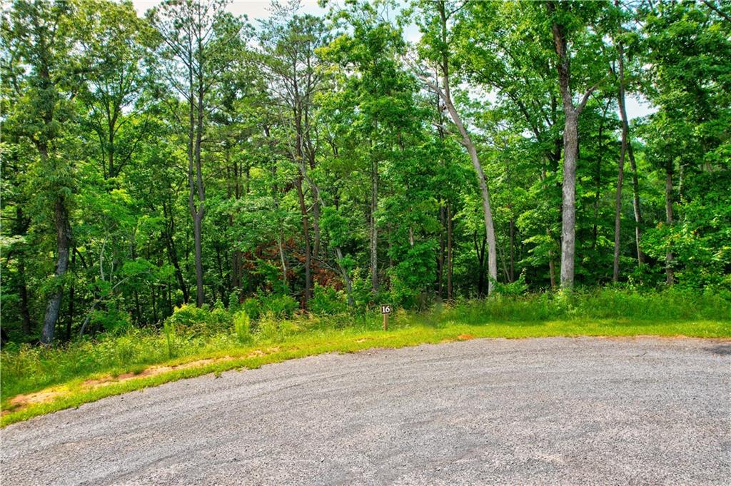 LOT 16 Lake Top Lane, Ellijay, Georgia image 3