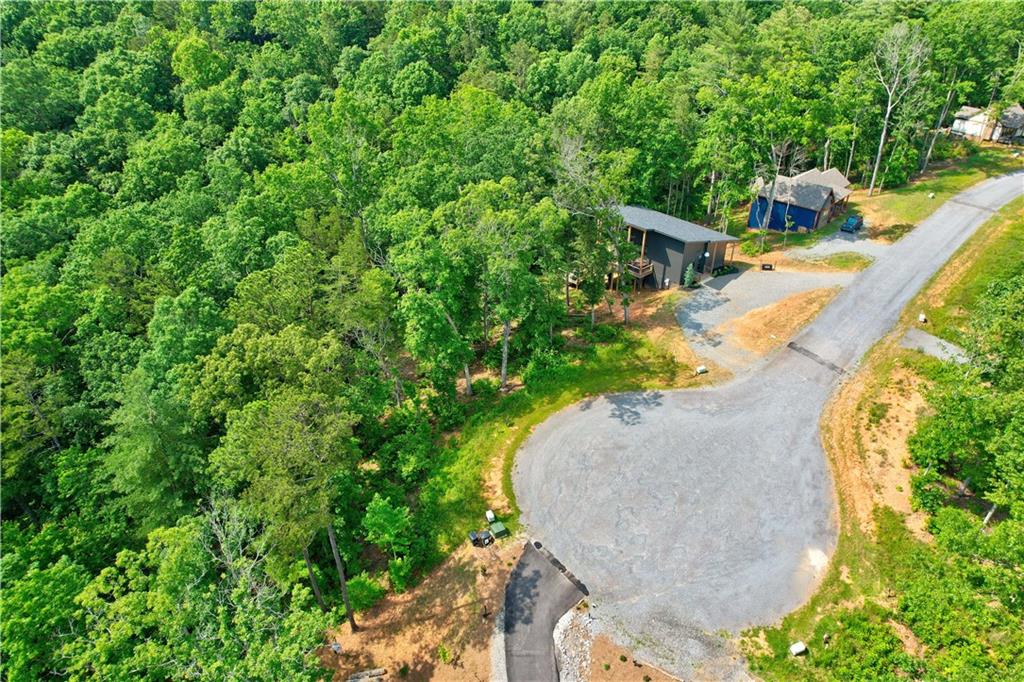 LOT 16 Lake Top Lane, Ellijay, Georgia image 9