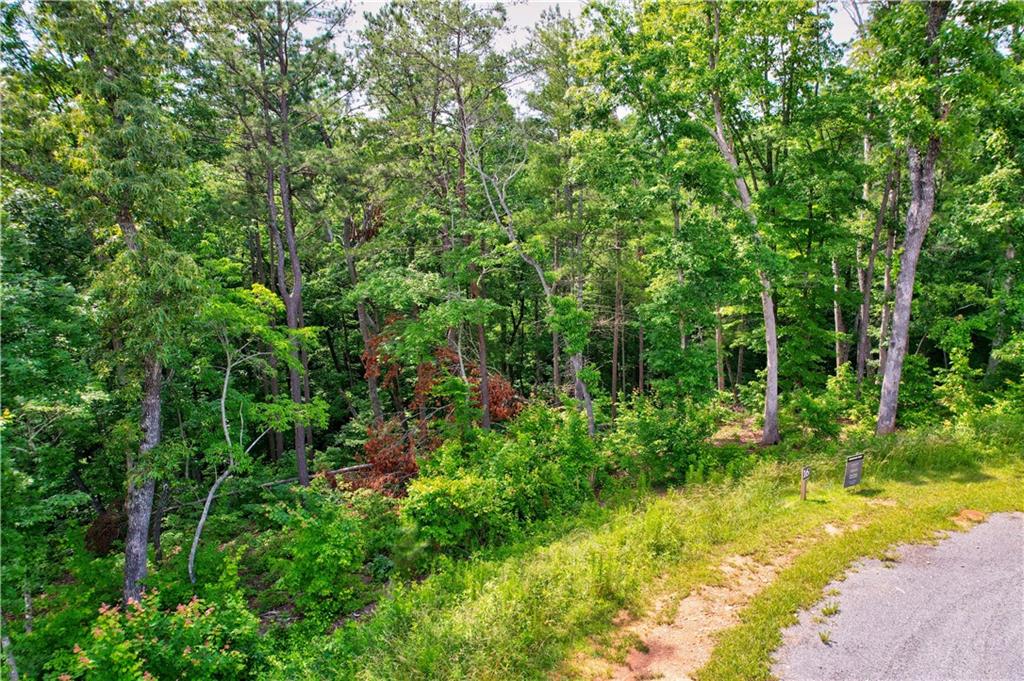 LOT 16 Lake Top Lane, Ellijay, Georgia image 8