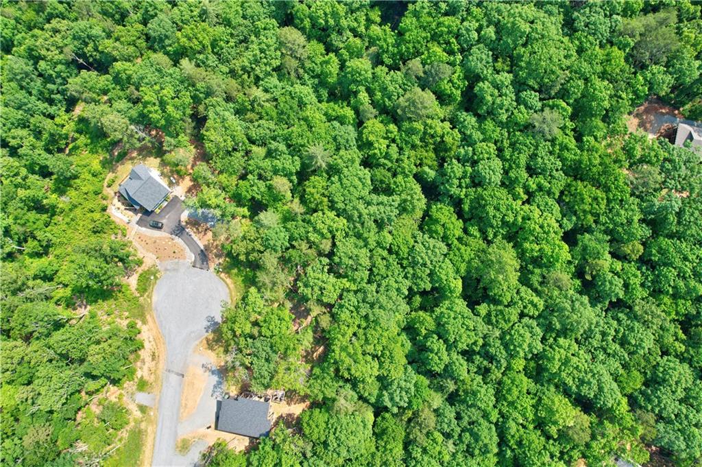 LOT 16 Lake Top Lane, Ellijay, Georgia image 16