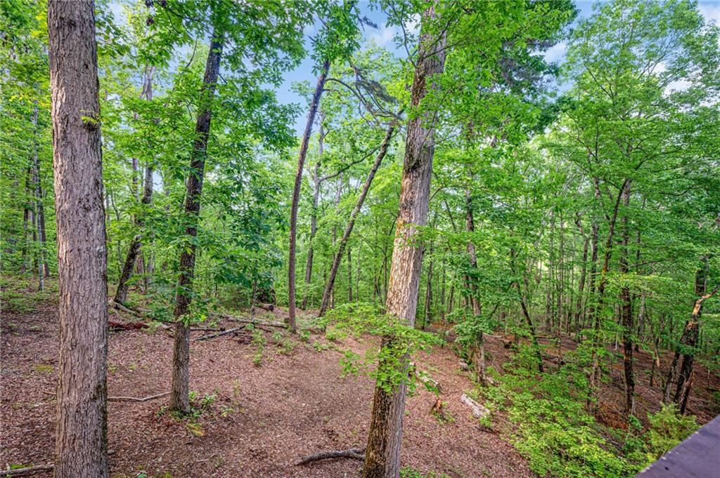 2374 Woodring Branch Road, Chatsworth, Georgia image 42