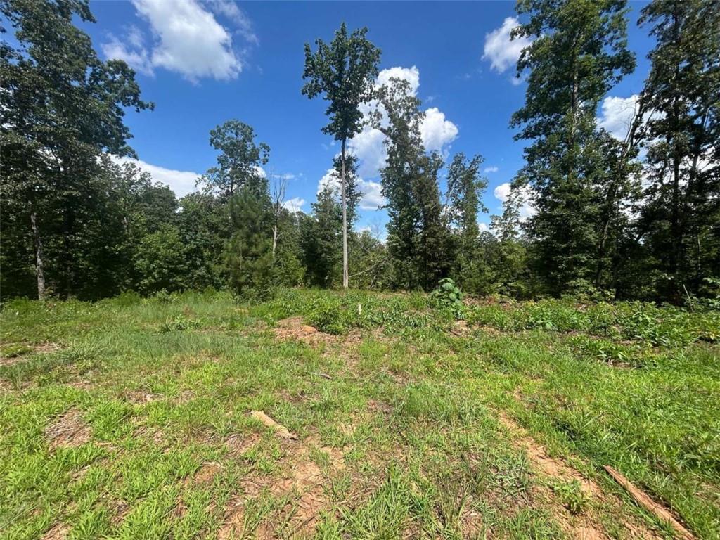 11 acre tract (Tract 3 on plat) off Sardis Road in Northern Cherokee County sits tucked deep off the road for the ultimate private homestead. Great topo for either a slab or basement home. Some areas already cleared while others remain undisturbed. Currently zoned R-80, no restrictions, no HOA. Utilities: power at the road, future septic and well. Seller has had satisfactory soil samples taken from multiple potential homesites. Additional 6 acre tract (Tract 2 on plat) is available to purchase as well. All of the surrounding new construction homes are beautifully done and on large tracts of land carrying on the farmhouse estate feel this part of the county is known for. Best of both worlds with the classic rural Cherokee experience but you still have a Publix less than 4 miles away! Downtown Canton and Northside Cherokee Hospital are less than a 10 minute drive. The impressive new $179 million dollar Cherokee High School to be completed August 2026 is the districted high school along with Teasly Middle and Clayton Elementary.
