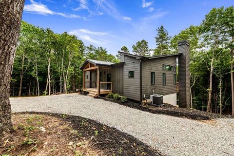 A home in Mineral Bluff