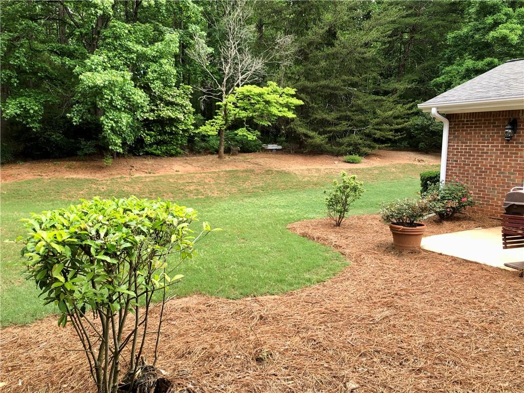 1818 Brandy Woods Drive, Conyers, Georgia image 37